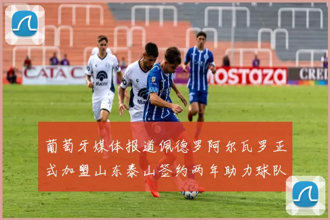 葡萄牙媒体报道佩德罗阿尔瓦罗正式加盟山东泰山签约两年助力球队发展