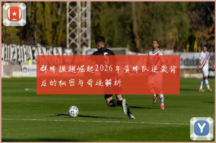 群蜂振翅崛起2026年黄蜂队逆袭背后的秘密与奇迹解析