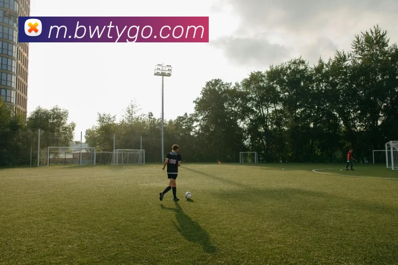 宝威体育服务体系